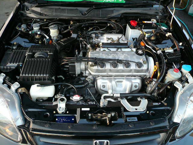 1498489_8.jpg