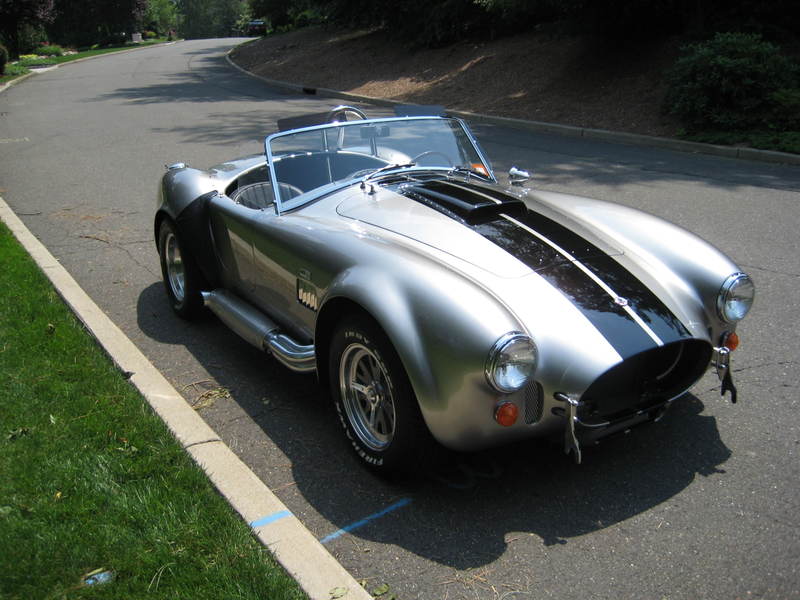 Cobra_3.jpg