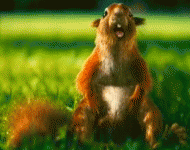 cccb4312db0f5c02638706fba799b379.gif