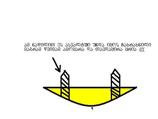 poli.JPG