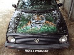 DSC00371.jpg