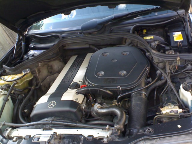 DSC00011.JPG