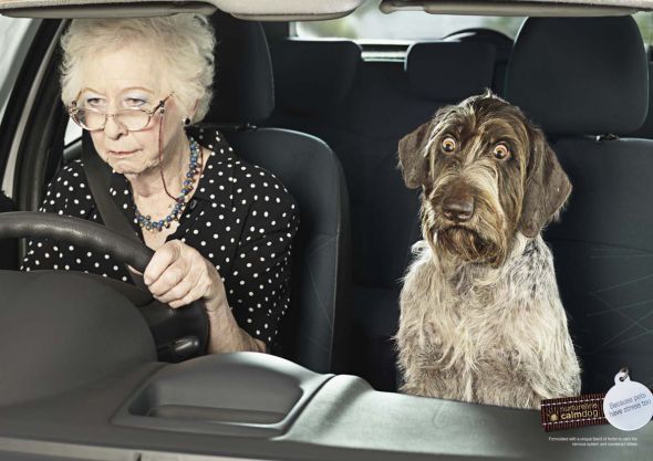 Granny.preview.jpg