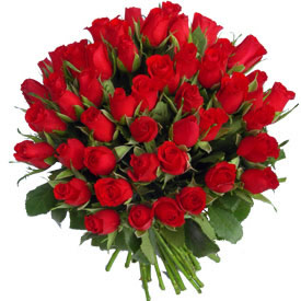 100_roses_pic.jpg