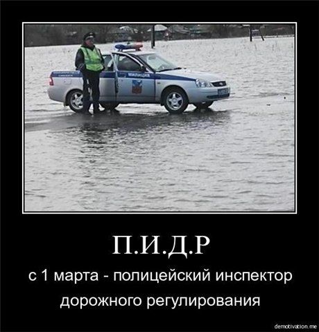 44222a3c3b6b.jpg