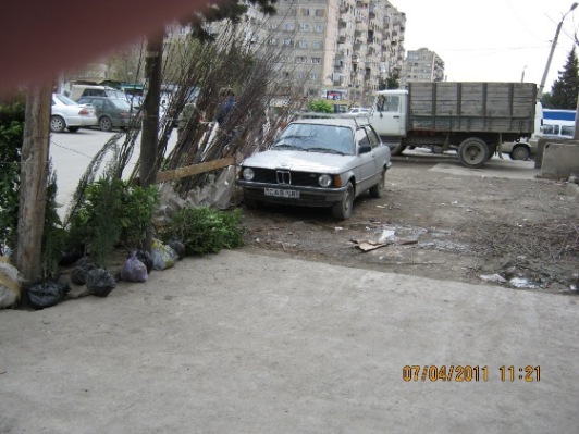 Picture.jpg