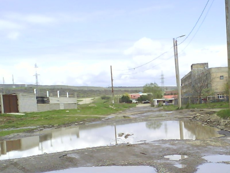 DSC00639.JPG