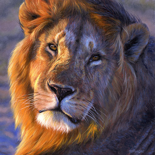 african_lion_final.jpg