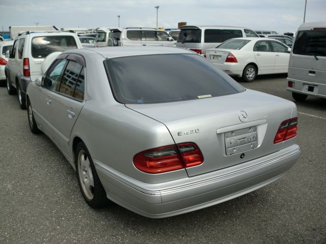 45343_06.jpg