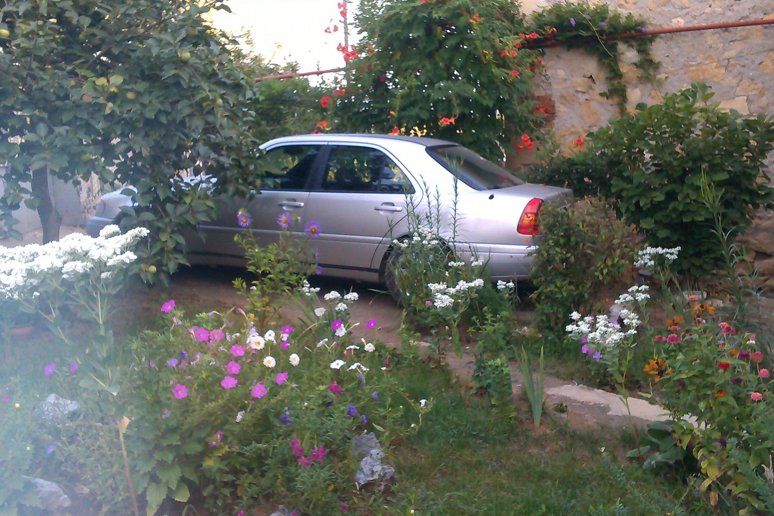 IMAG1343.jpg