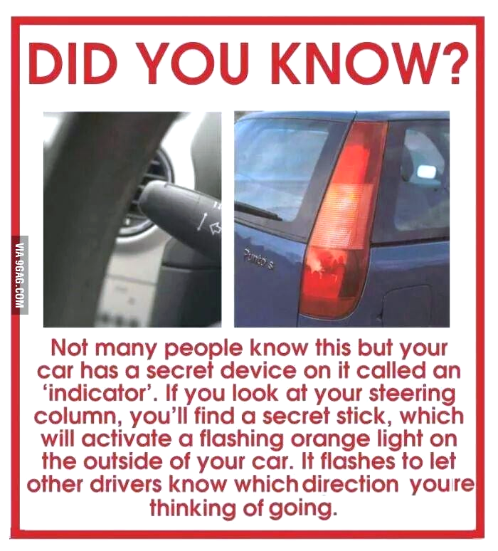 12913_10153006804356840_5910424152059193446_n.png