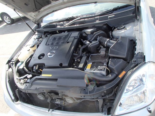 58145_8.jpg