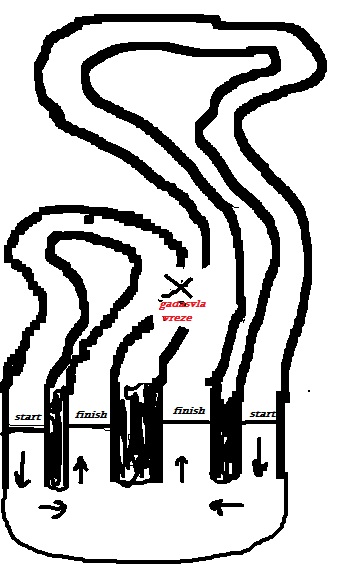 naxazi.jpg