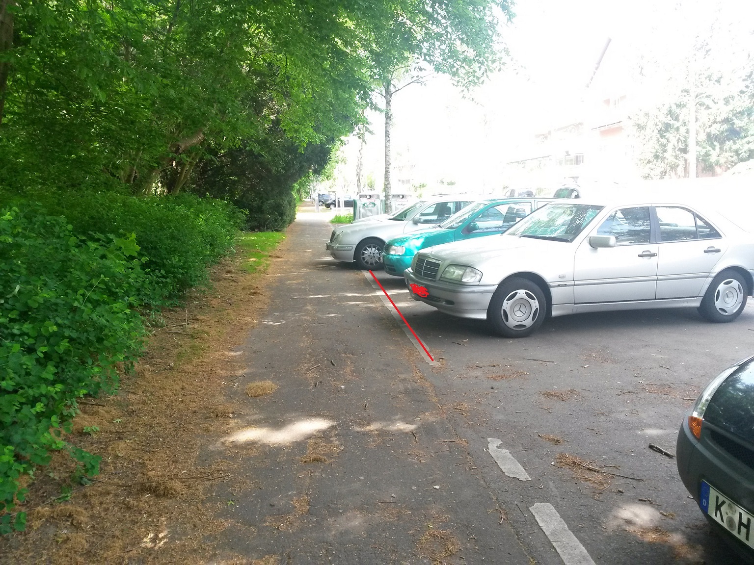 20150509_123138.jpg