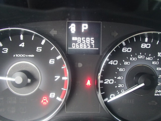 21145805_8X.JPG