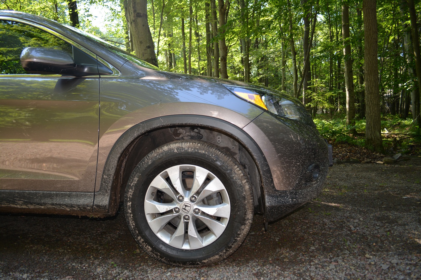 crv2.jpg