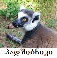 ee.jpg