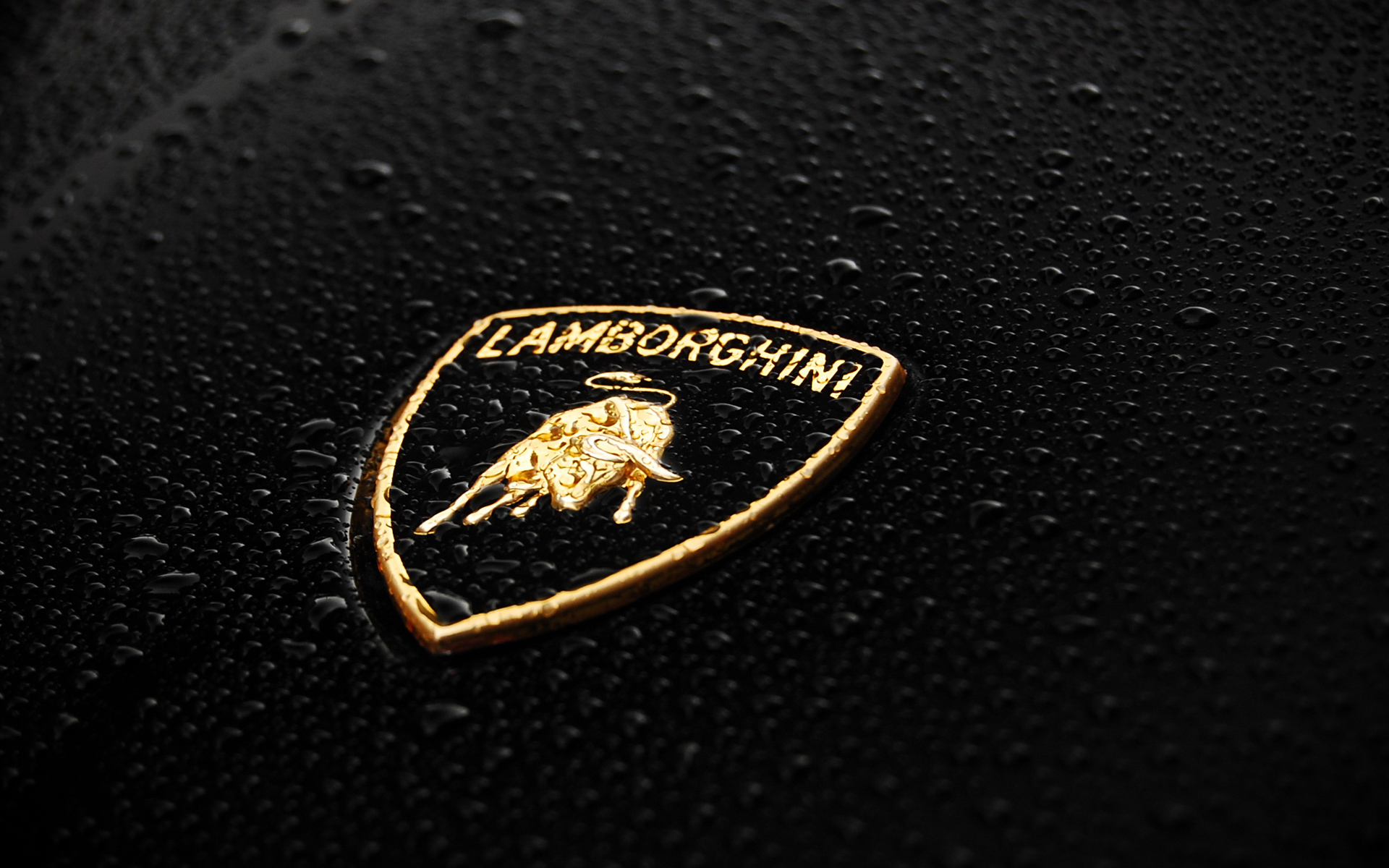 Lamborghini.jpg