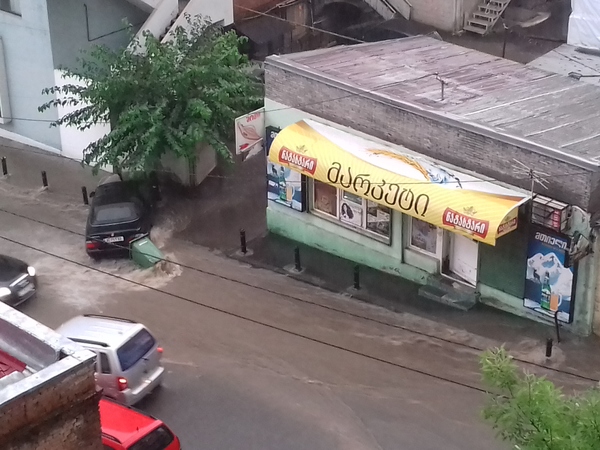 wyaldidoba.jpg