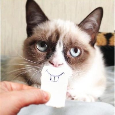 grumpy_cat_fake_smile.jpg