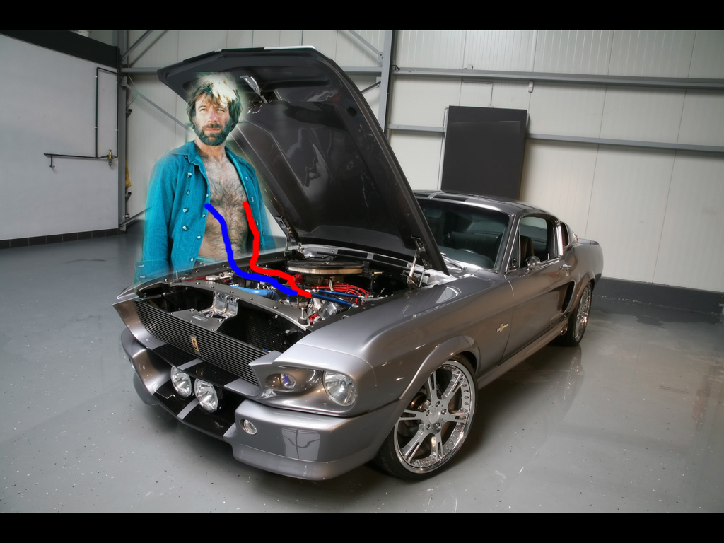 Chuck_Norris_9.jpg