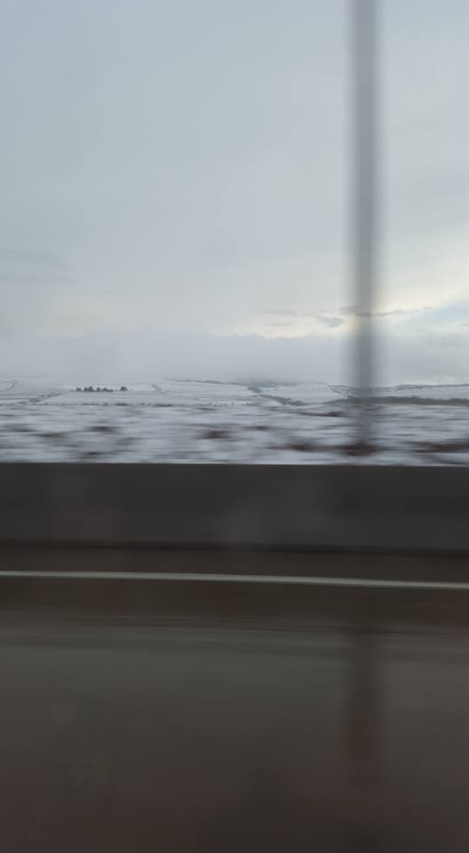 17799445_1400834886622572_7617223519657174923_n.jpg
