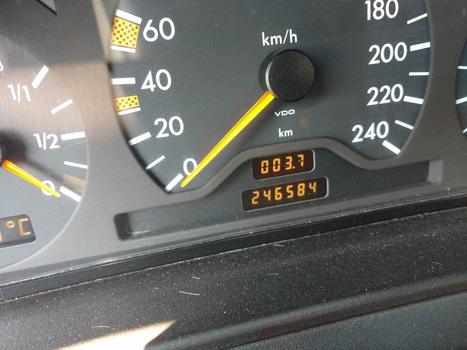 19987688_329435060831561_2034512132_n.jpg