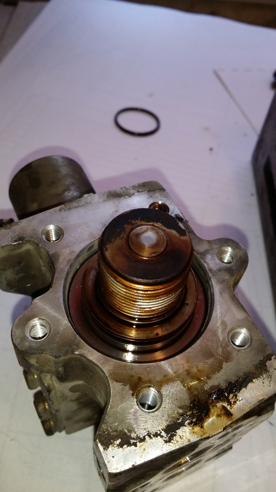 6c8a1bcs_960.jpg