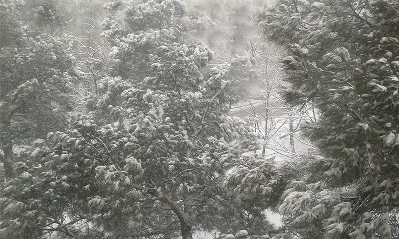 tovli.jpg