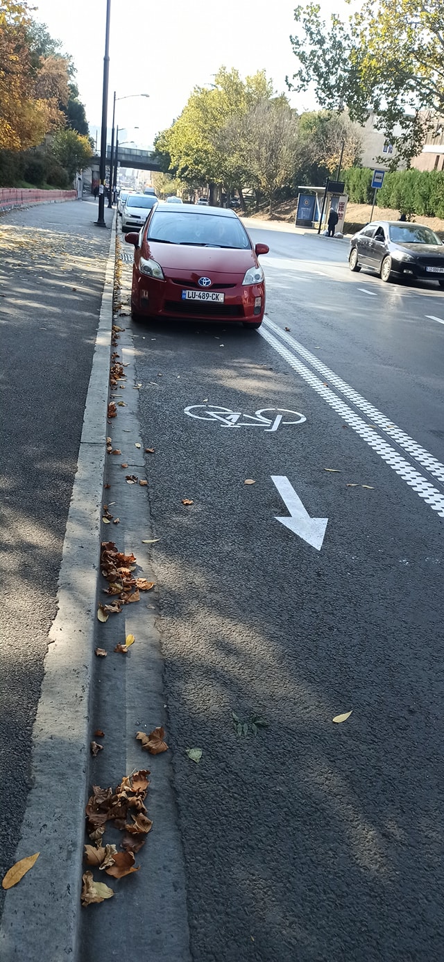 park2.jpg