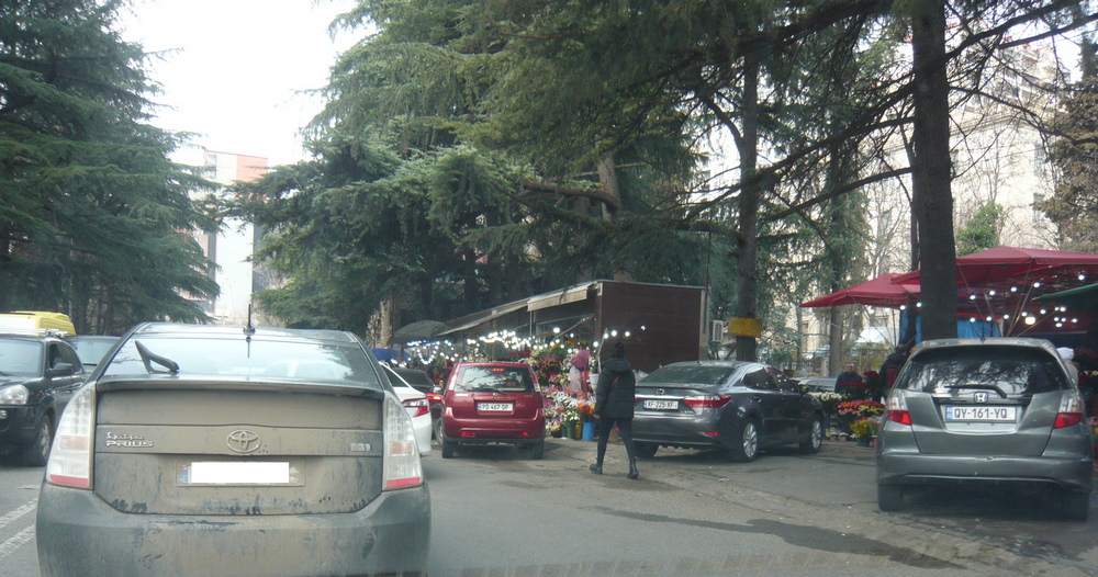 P1130304.JPG