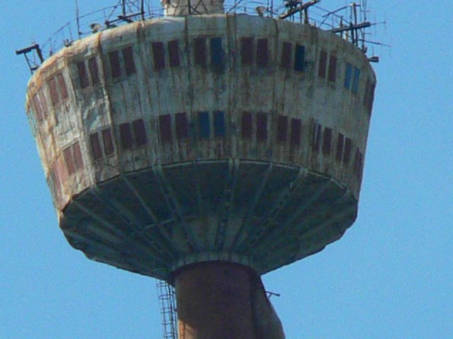 jangi.jpg