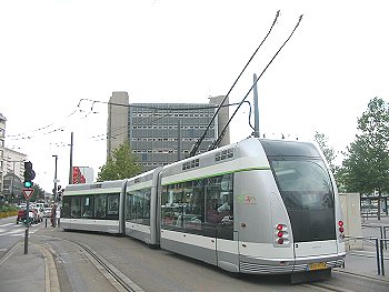 tg10.jpg