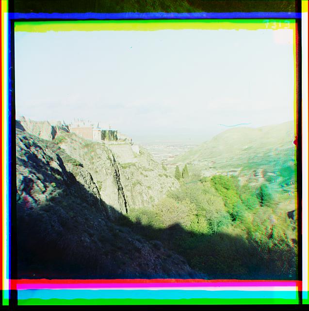 botanikuri__baRi.jpg