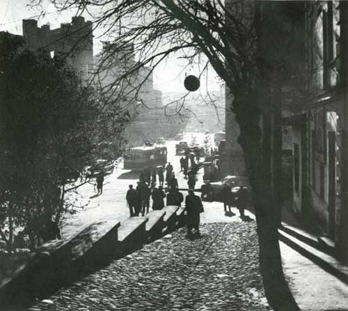 tblisi_javaxishvilis_qucha.jpg