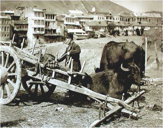 fric_vencelis_foto._1908_w..jpg