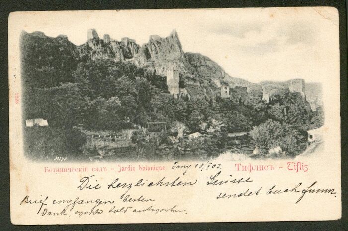 az3135.jpg