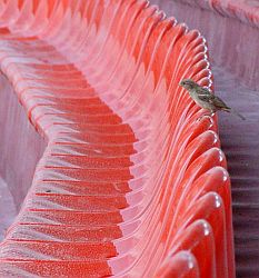 post_68_1154080411.jpg