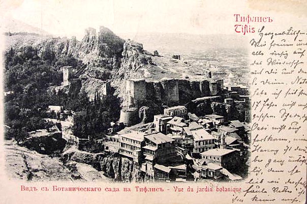 PC.Tiflis_Botanic.Garden.1908.a.jpg