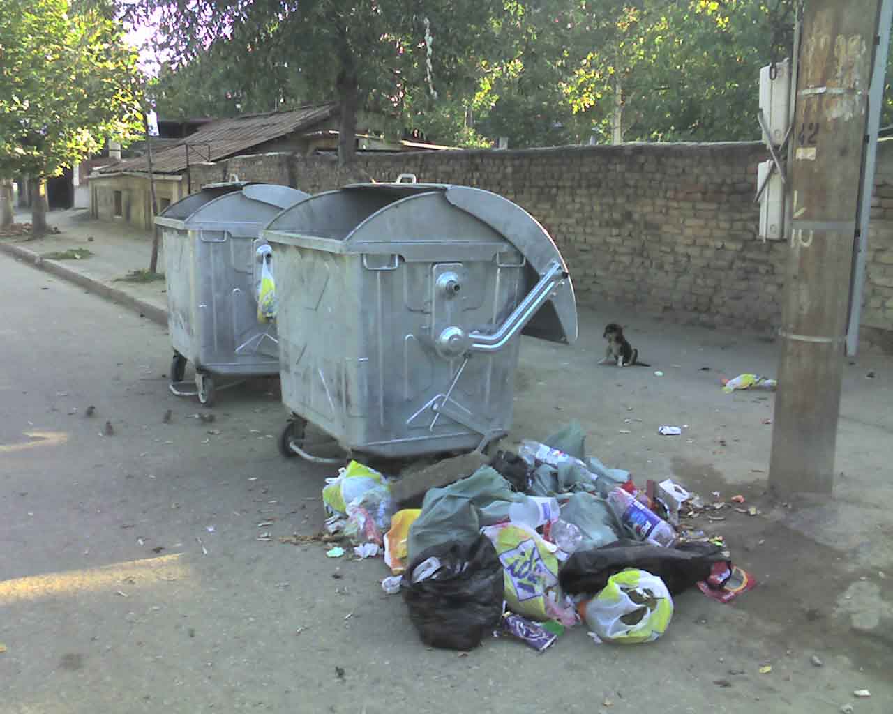 img266.jpg