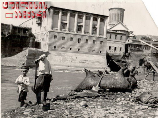 tevzaoba__sionis___cunssfff.jpg