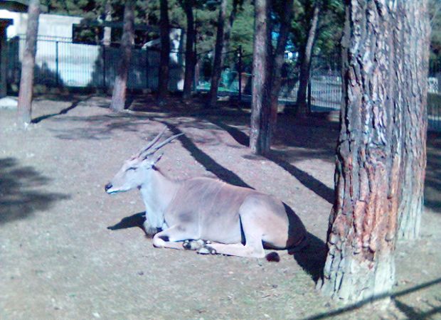 Picture_8_.jpg