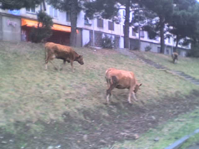 08_03_07_1559.jpg