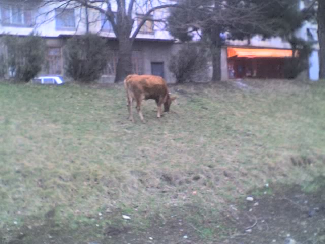 08_03_07_1558.jpg