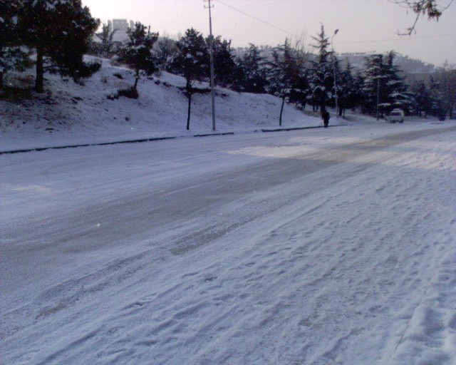 DSC00092.JPG
