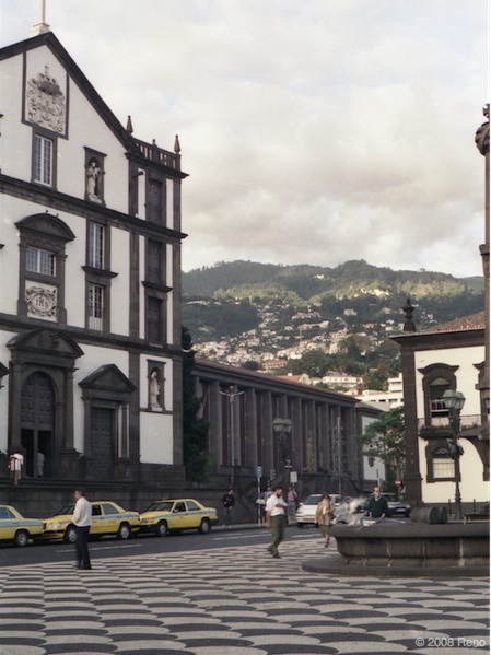 madeira025.jpg