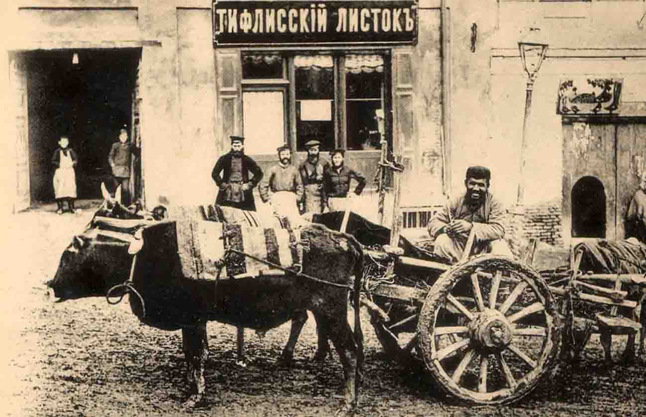 131.jpg