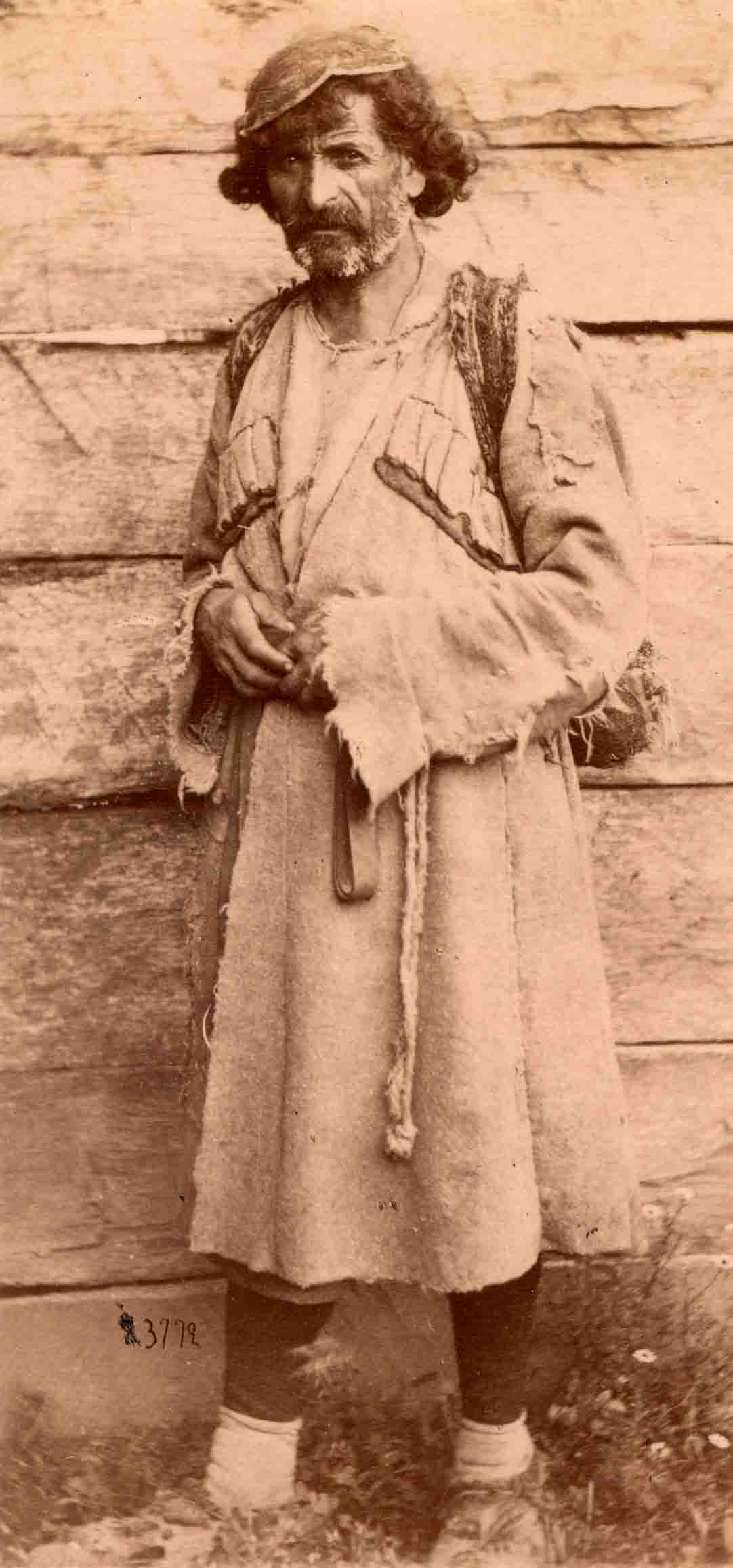 Roinov_46.jpg