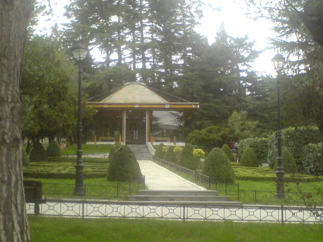 DSC01226.JPG