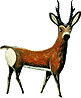 roe.gif